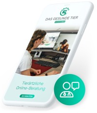 Produktfoto von Tierärztliche Online-Beratung - Gratis