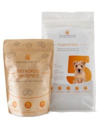 Produktfoto von Probierpaket MINI VEGGIE für kleine Hunde