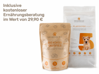 Vorschau Probierpaket MINI VEGGIE für kleine Hunde