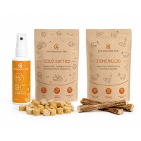 Produktfoto von SOMMER URLAUBS-SET BALKONIEN FÜR HUNDE
