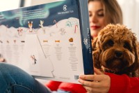 Vorschau ADVENTSKALENDER KLASSIK für Hunde – 270 g