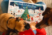 Vorschau ADVENTSKALENDER SENSITIV für Hunde - 260 g