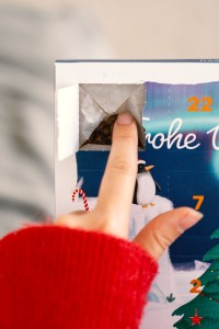 Vorschau ADVENTSKALENDER für Katzen - 100 g