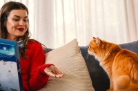 Vorschau ADVENTSKALENDER für Katzen - 100 g