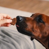 Vorschau RUDIS RENTIER BITES - 200 g