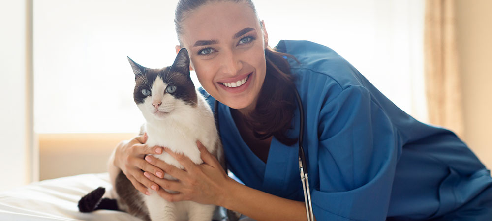 Lächelnde Tierärztin in blauer Uniform umarmt eine weiße glückliche Katze