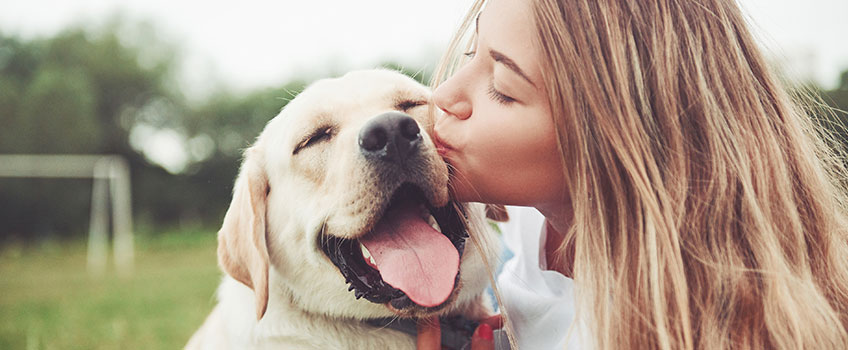 Niereninsuffizienz beim Hund: So Du gutes Leben