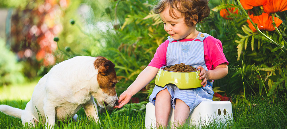 Kleinkind sitzt mit einem Futternapf auf einem Hocker und füttert einen kleinen Hund im Garten.