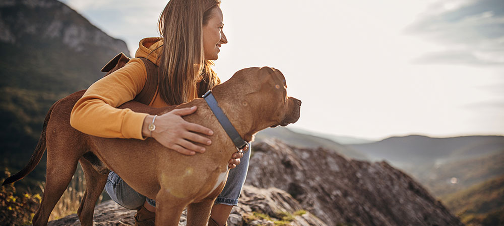 Frau sitzt mit ihrem braunem Hund auf einem hohen Felsen und genießt die Aussicht.