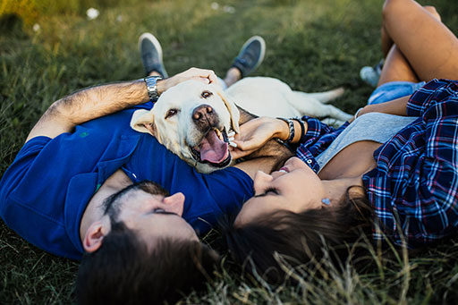 Zwei Personen mit blauer Kleidung kuscheln mit einem fröhlichen Labrador auf einer Wiese.