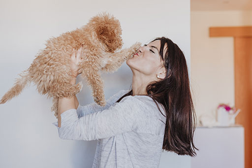 Kleiner hellbrauner Hund mit wuscheligem Fell wird in die Höhe gehalten und an der Pfote geküsst.